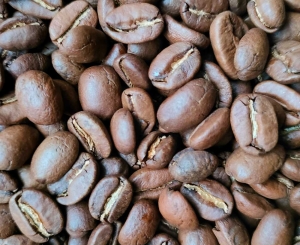 Boliwia Cafe de la Frontera BIO