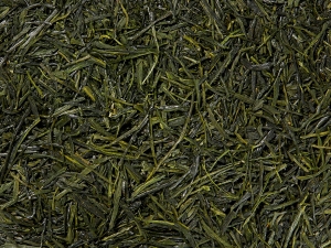 Kabusecha  Miyazaki- organic - japońska organiczna herbata półcieniona