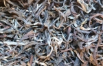 China Cui Min (Spring) Qingshan - z białymi pąkami -  Organic  - chińska herbata biała