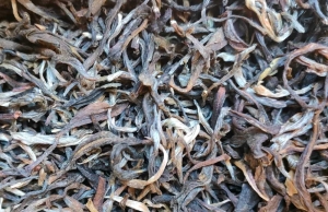 China Cui Min (Spring) Qingshan - z białymi pąkami -  Organic  - chińska herbata biała