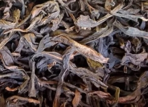 Feng Huang Dancong Oolong - herbata oolong