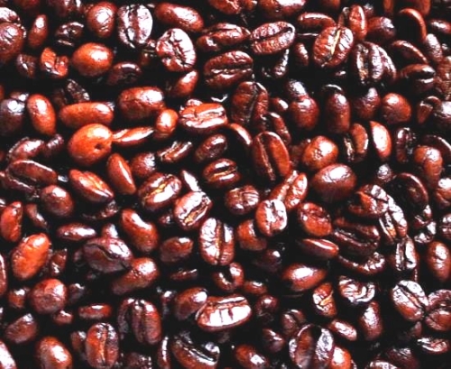 wanilla cream.JPG