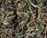 Darjeeling Singbulli SFTGFOP1 EX-11 First Flush 2026 – „lotniczy”
