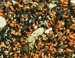 Japan Genmaicha Mango-Kokos - japońska herbata