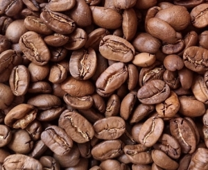  Kawa Nicaragua Maragogype