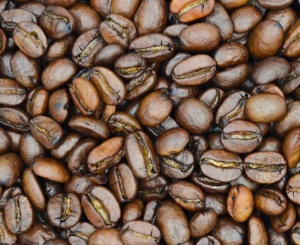 Kawa Piernikowa