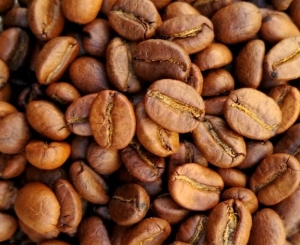 Kawa Malibu