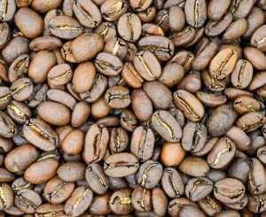  Kawa Dominikana Barahona AA BIO