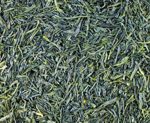 gyokuro asahi.jpg