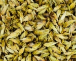 Yunnan Silver Bud Ya Bao - biała herbata pąkowa