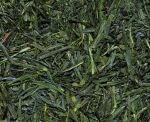 Japan Sencha Fukujyu - zielona japońska herbata z prefektury Shizuoka