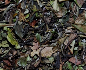 White Bai Mu Dan BIO - biała herbata znana także jako White Pai Mu Tan